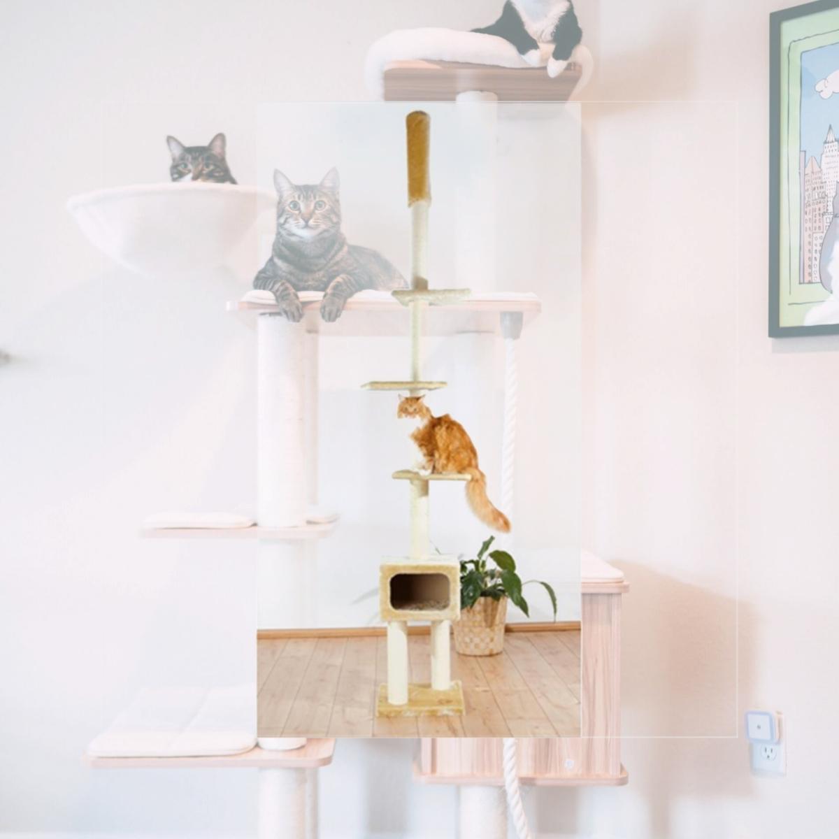 Picture of TRIXIE Pet Products 43521 Santander Cat Playground