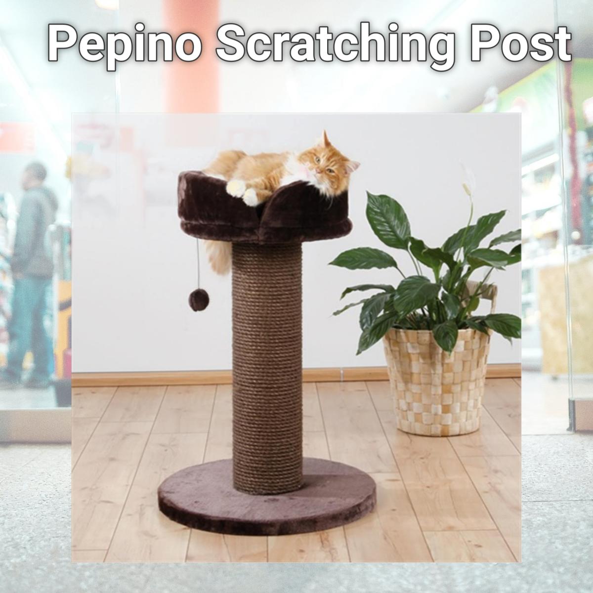 Picture of TRIXIE Pet Products 44470 Pepino Scratching Post