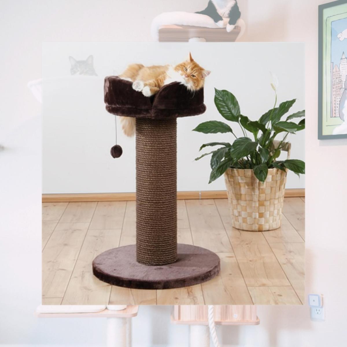 Picture of TRIXIE Pet Products 44470 Pepino Scratching Post