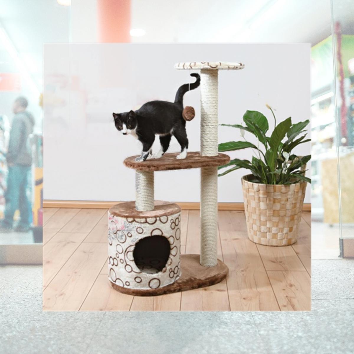 Picture of TRIXIE Pet Products 44590 Casta Cat Tree- Brown & Beige With Circles