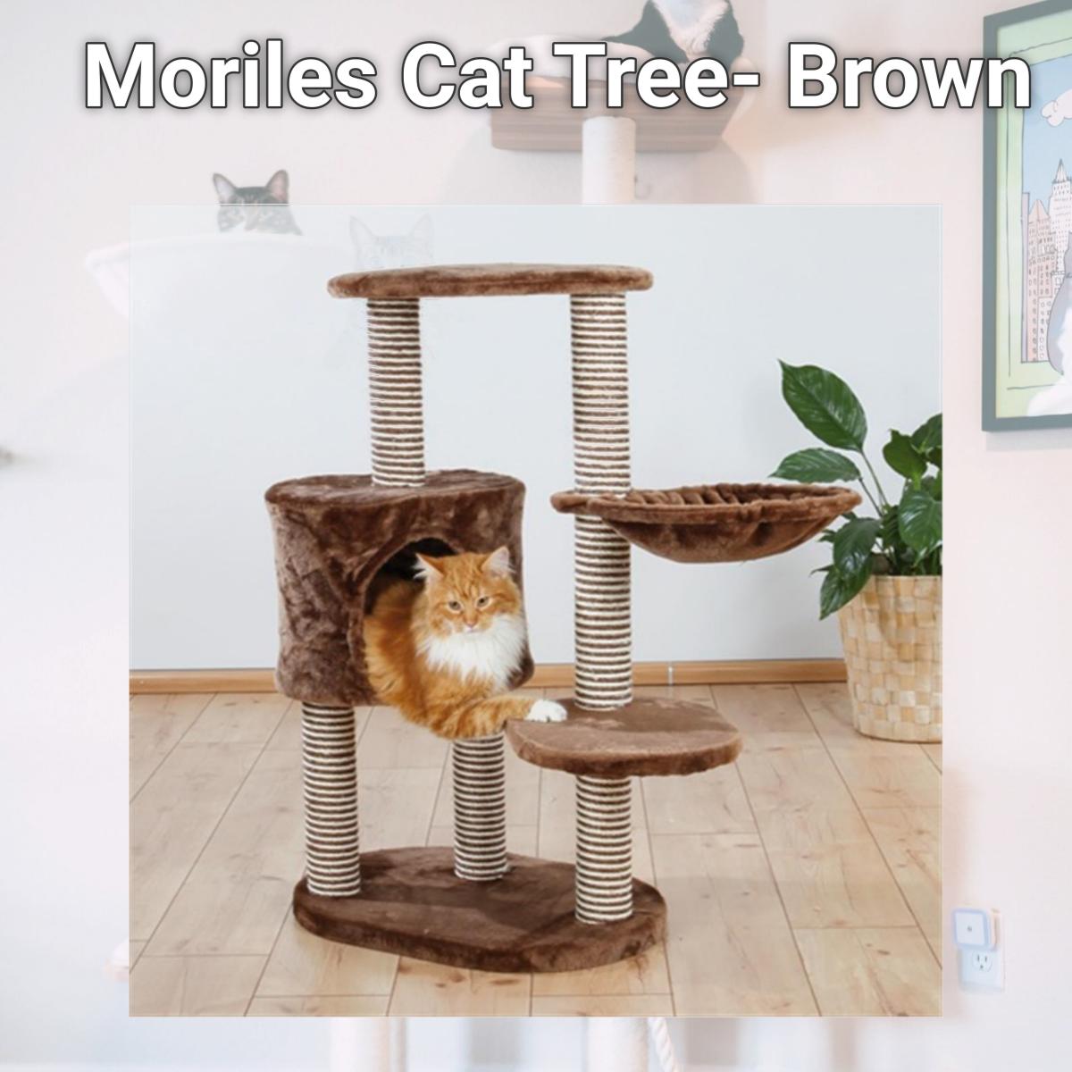 Picture of TRIXIE Pet Products 44620 Moriles Cat Tree- Brown