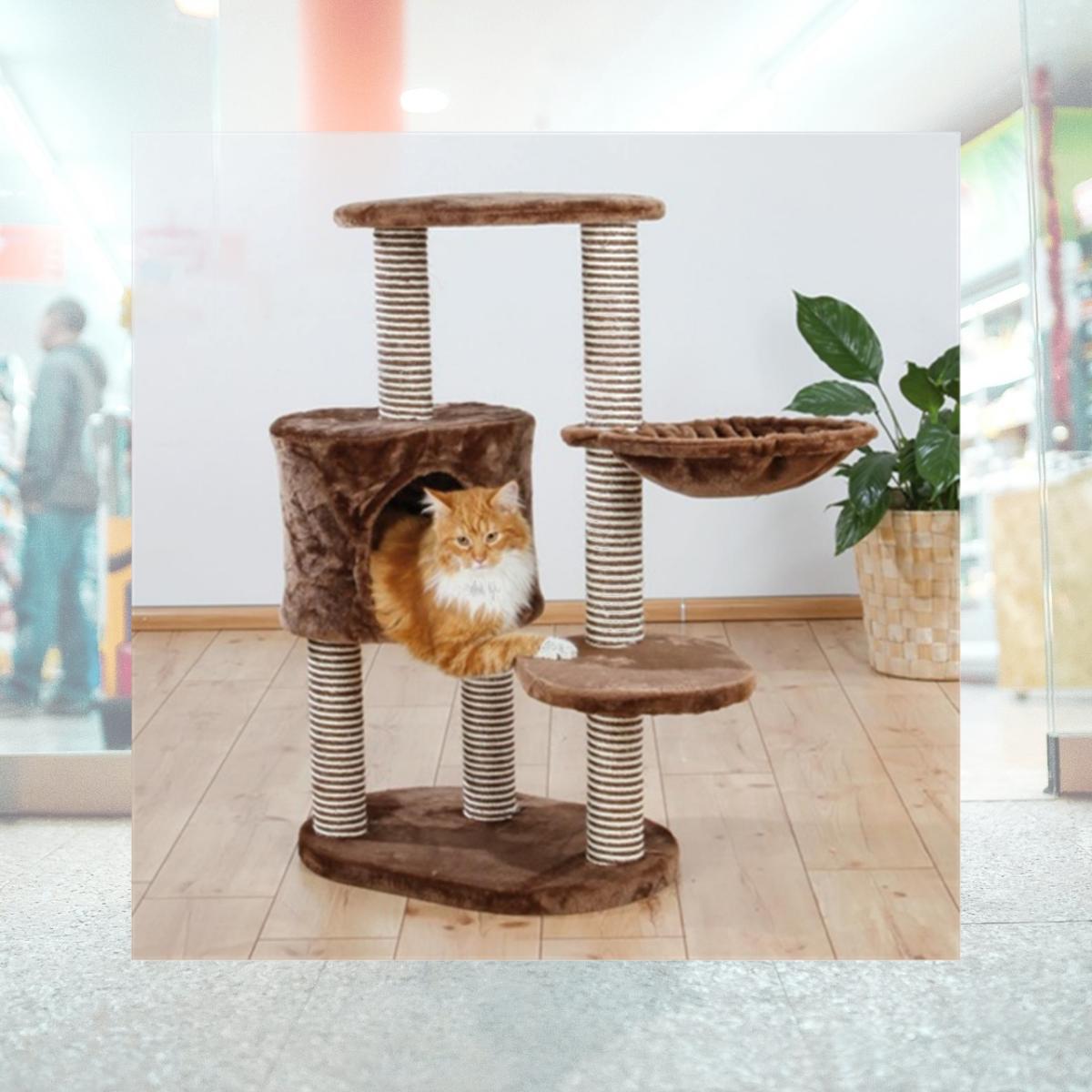 Picture of TRIXIE Pet Products 44620 Moriles Cat Tree- Brown
