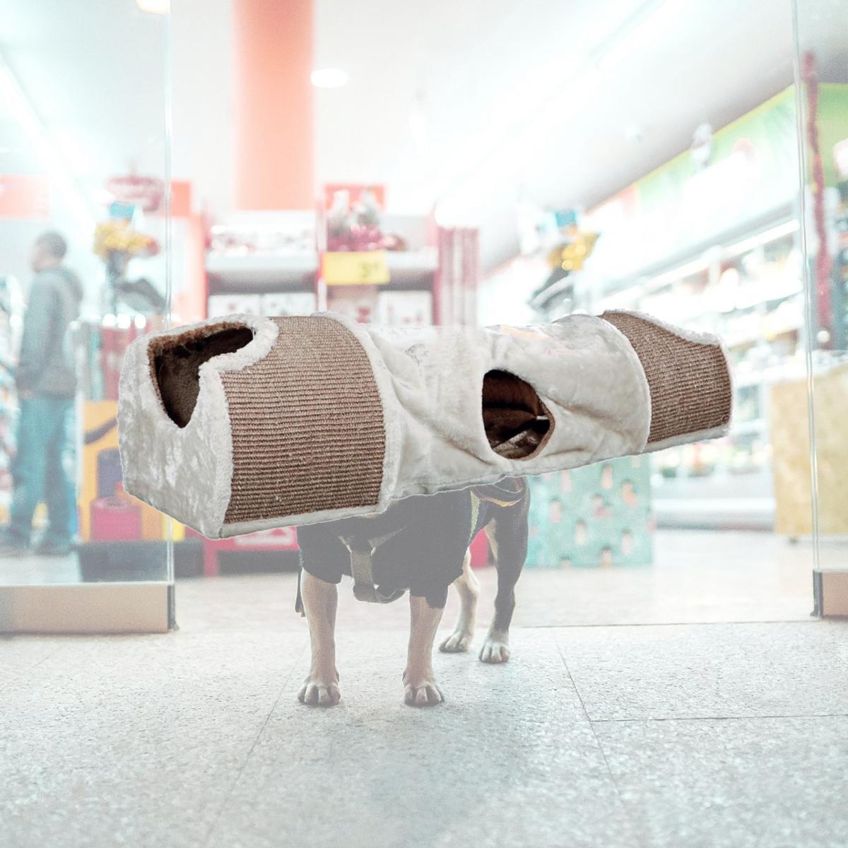 Picture of Trixie Pet Products 43004 Plush Nesting Tunnel for Cats, Light Gray & Brown