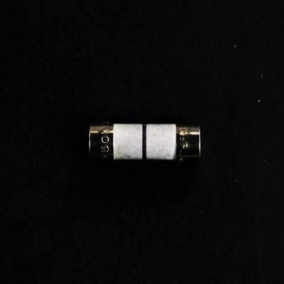 Picture of Samsung 3601-001198 250V; 20A Slow-Blow Ceramic CartridSamsung Fuse for Microwave