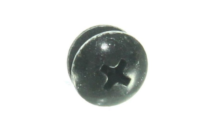 6009-001395 TH; WP; M5; L10; ZPC; SWR Black Special Screw