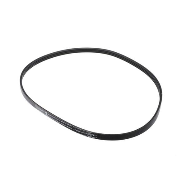 5304515831 Genuine OEM Belt