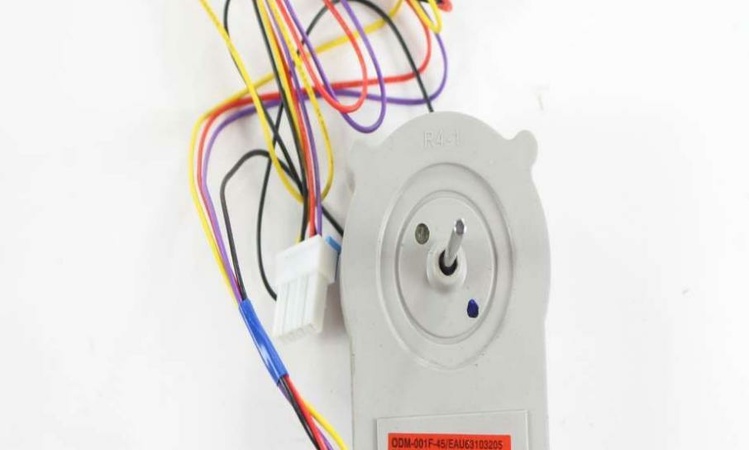 EAU63103205 Genuine OEM DC Motor