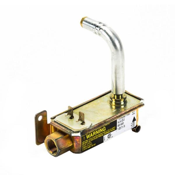 WP98014893 Gas Safety Valve Assembly