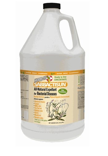 3.78 Litre Sabbactisun Ready to Use Concentrate Gallon