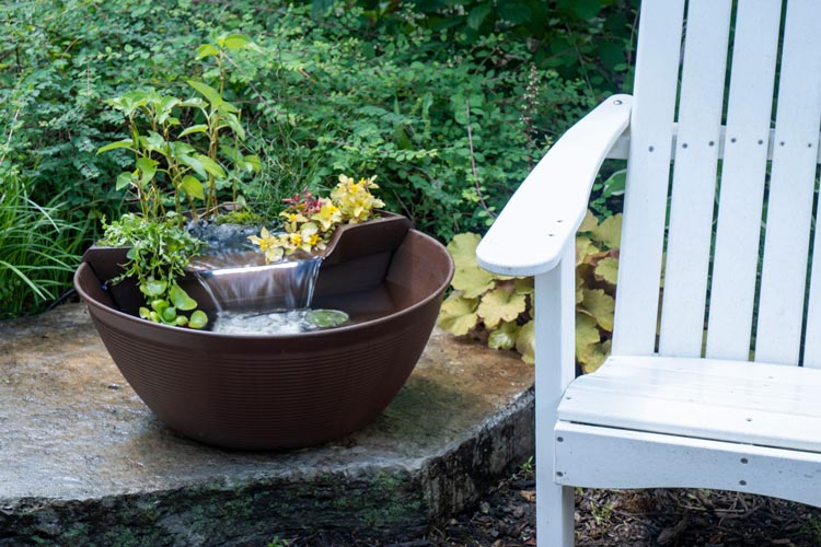 AquaGarden Mini Pond Kit