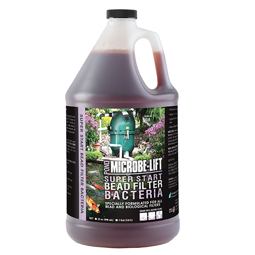 Super Start Bead Filter Bacteria, 1 gal