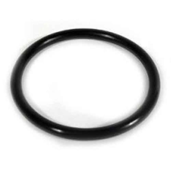 Picture of Aqua Ultraviolet A50055 Ultima II O-Ring for 1000-20000 Filter