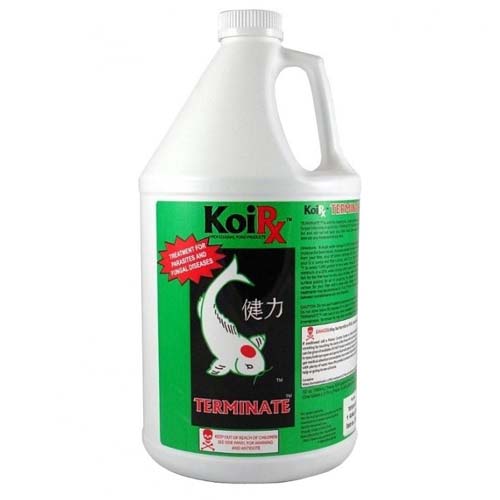 TERM128 Terminate Liquid - 1 gal