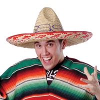Adult Size Authentic Mexican Sombrero