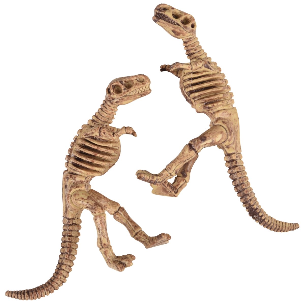 2400AG T-Rex Dinosaur Skeletons