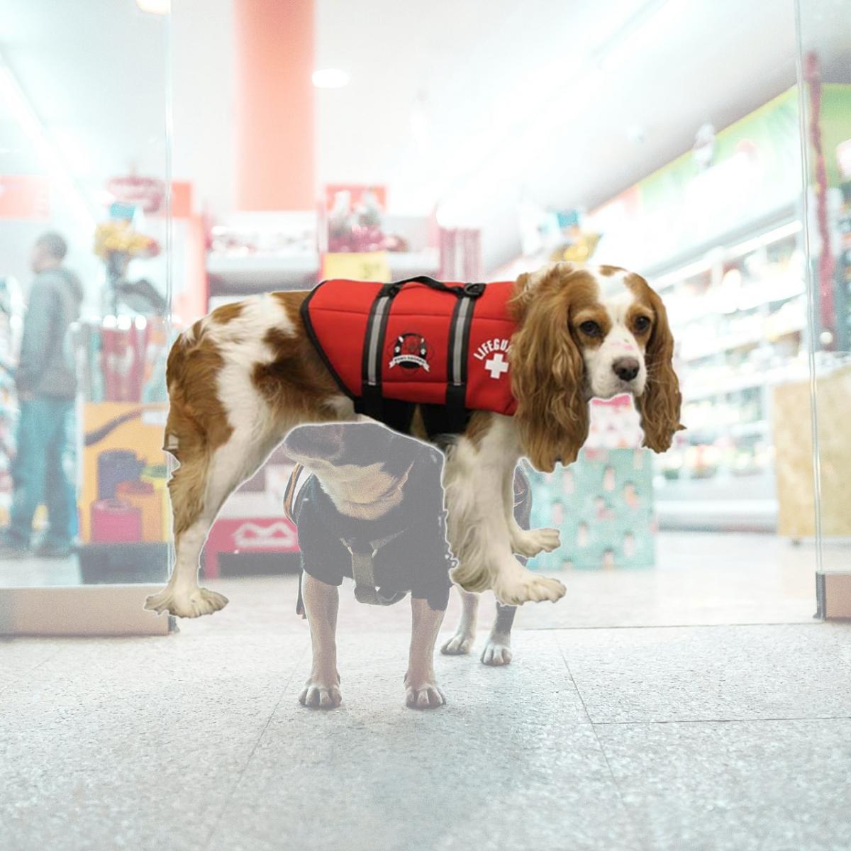 Picture of Paws Aboard PA-R1600 Neoprene Doggy Life Jacket Extra Large Red 