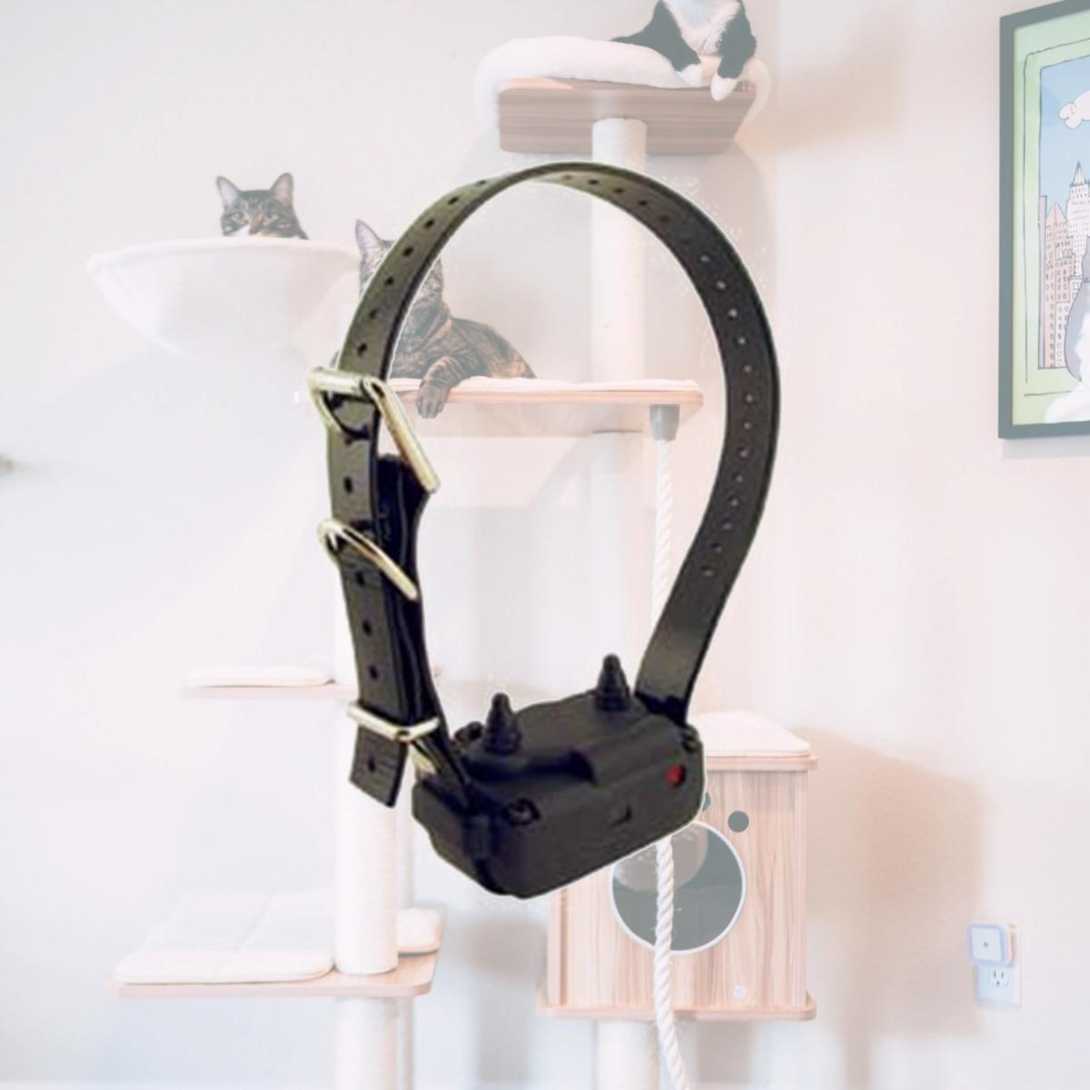 Picture of Dogtra 744622370010 Small Dummy Collar - 175-200-280-YS300