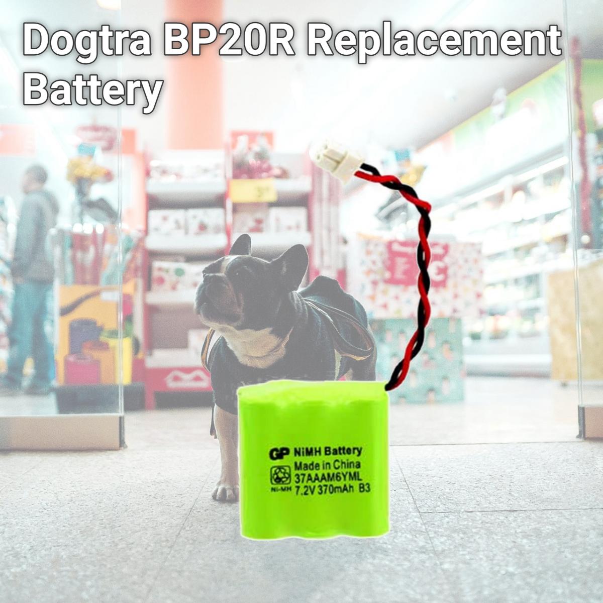 Picture of Dogtra BP20R Replacement Battery