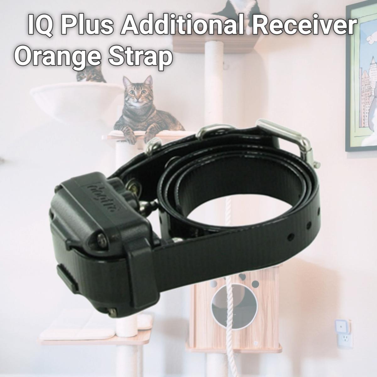 Picture of Dogtra IQ-PLUS-RX IQ Plus Additional Receiver Orange Strap