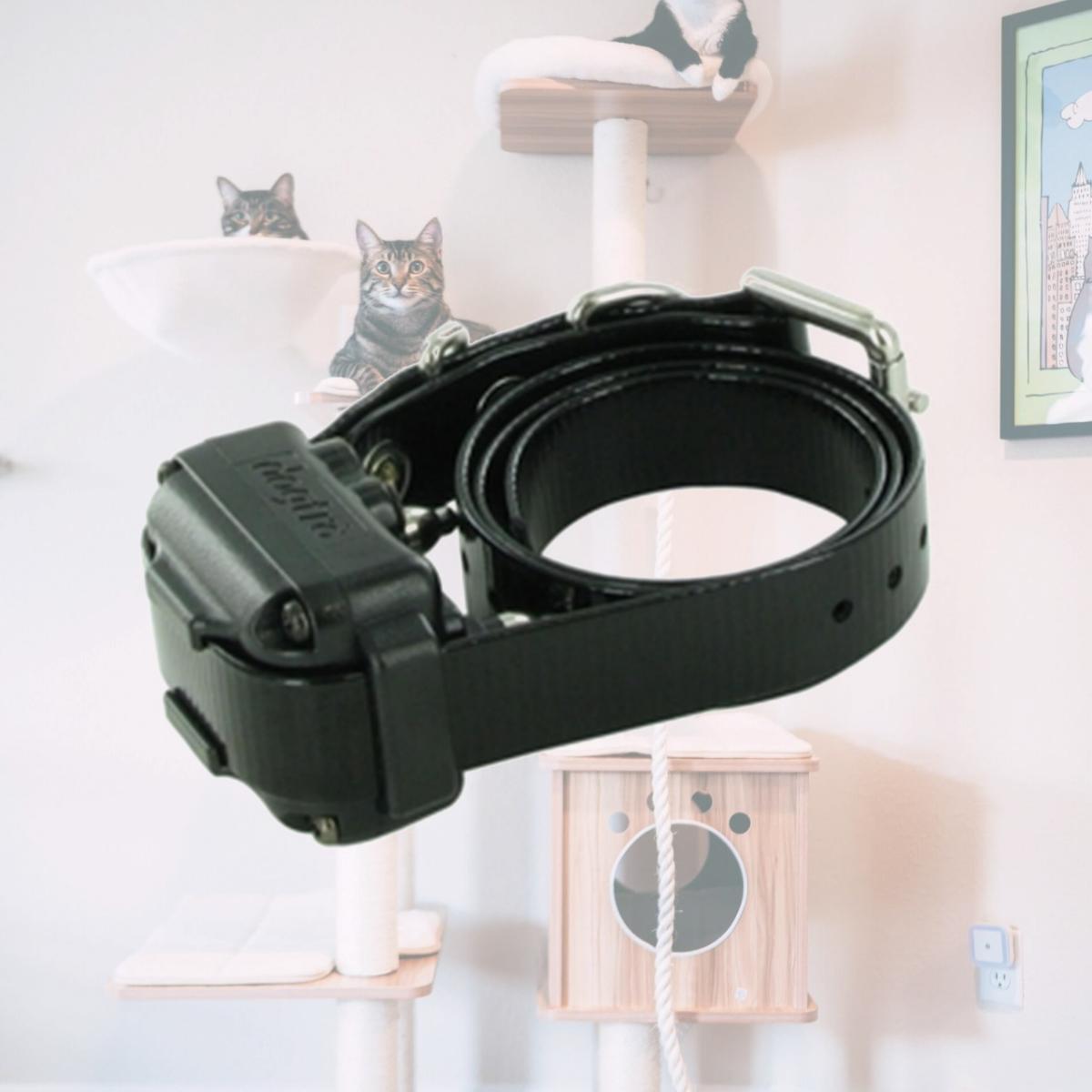 Picture of Dogtra IQ-PLUS-RX IQ Plus Additional Receiver Orange Strap