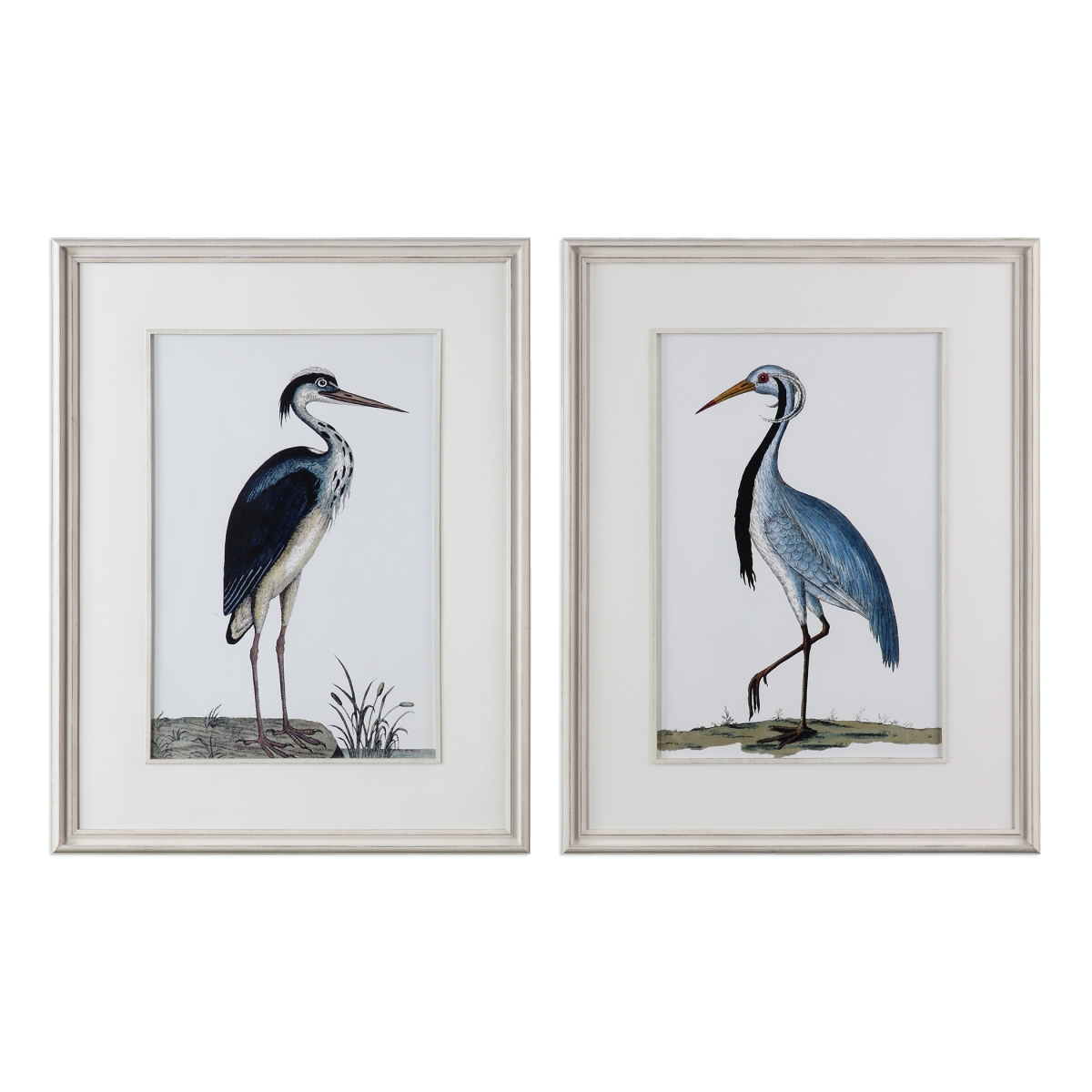 Picture of 212 Main 33668 Shore Birds Framed Prints  Set of 2