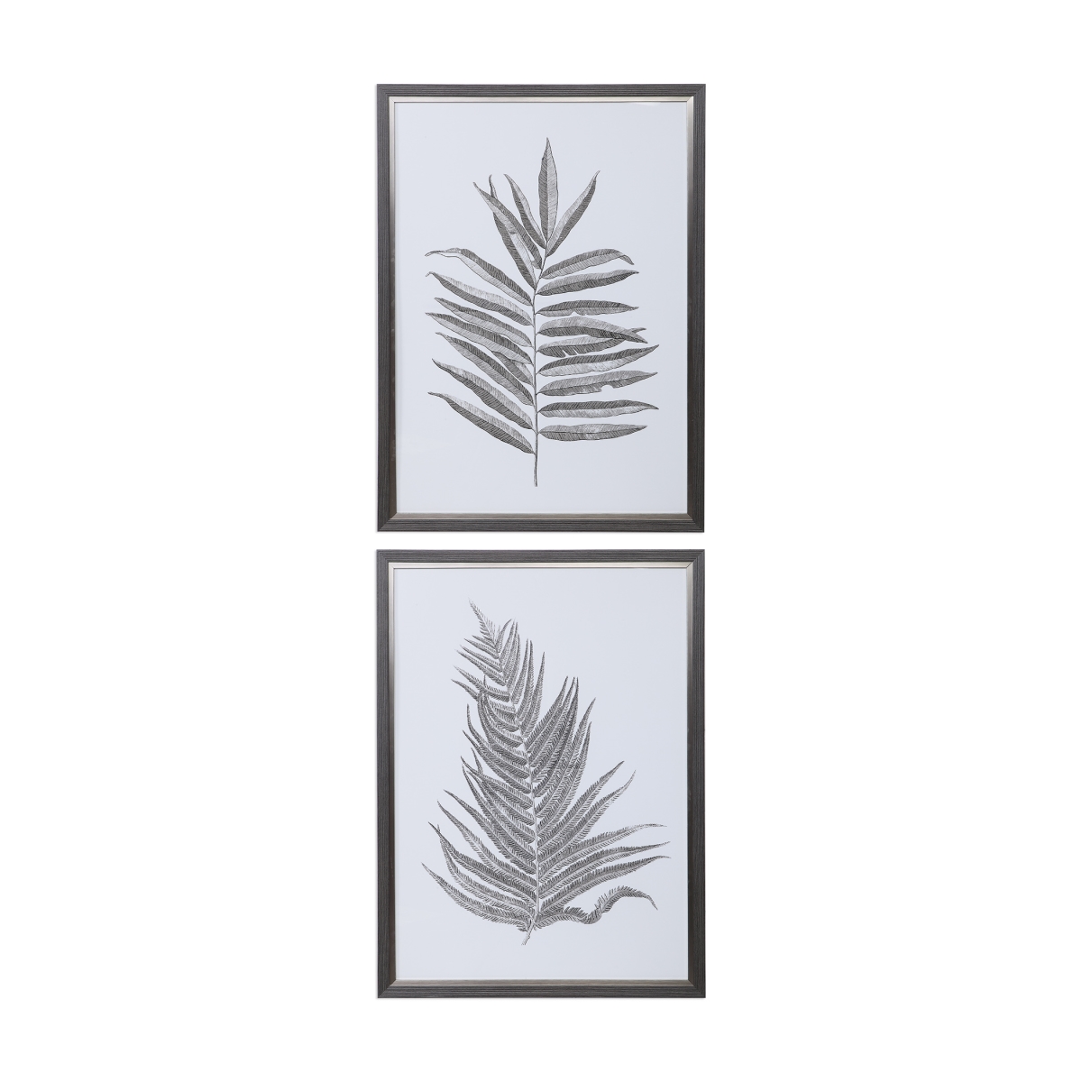 Picture of 212 Main 33685 Silver Ferns Framed Prints - Set of 2