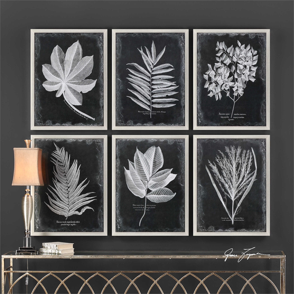 Picture of 212 Main 33671 Foliage Framed Prints - Plastic  Glass &amp; KT Board - Set of 6
