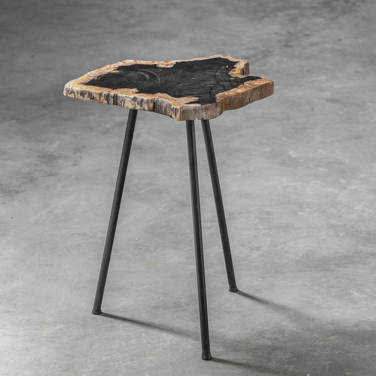 Picture of 212 Main 25461 Mircea Petrified Wood Accent Table