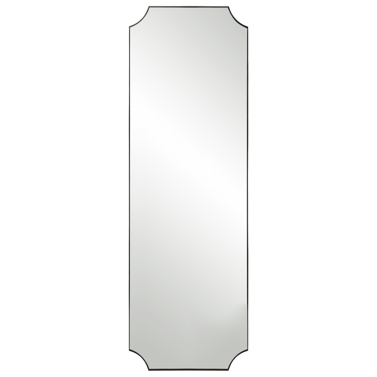 09893 72 x 24 in. Lennox Nickel Tall Wall Mirror
