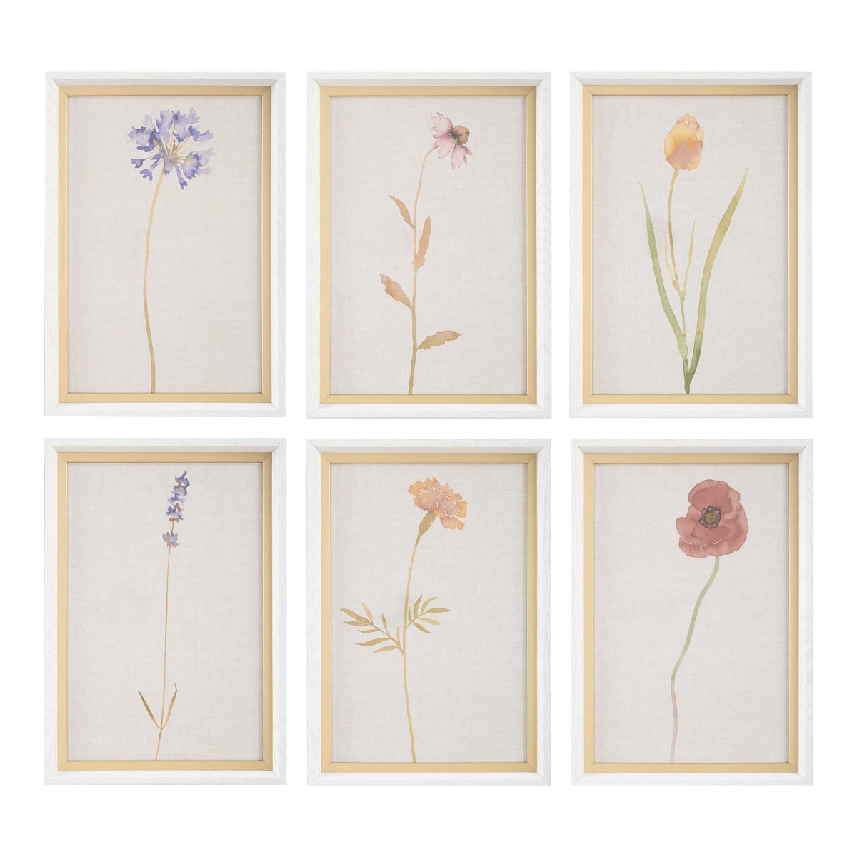 32384 Wild Flourish Framed Floral Prints - Set of 6