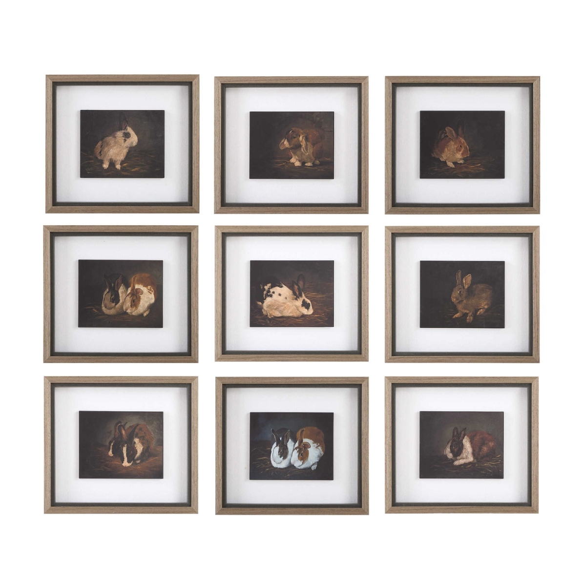 32386 Resting Bunny Framed Prints - Set of 9