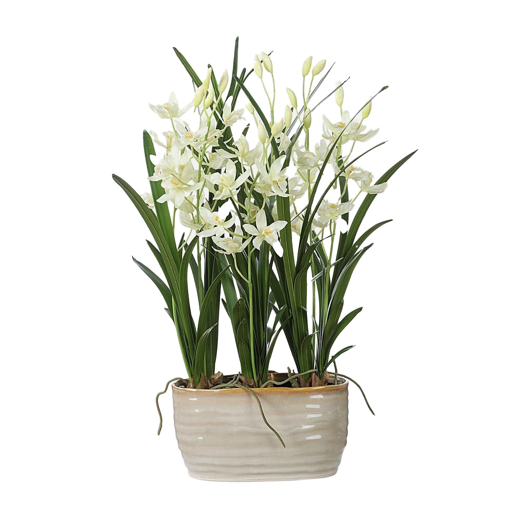 60227 Ariana Orchid Planter