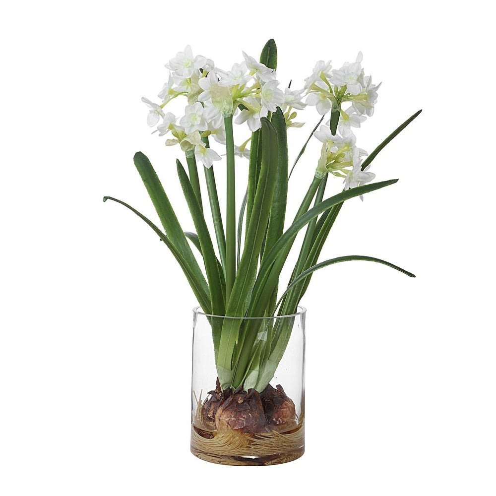 60228 Lacey Daffodil Accent Arrangement