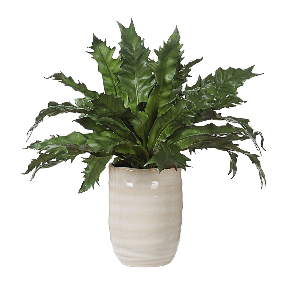 60229 Verdure Fern In Glazed Pot