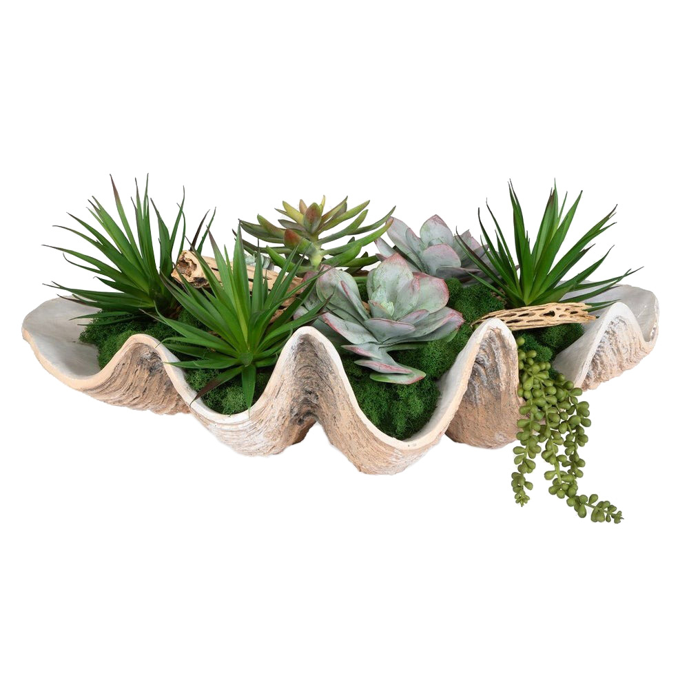 60233 Seaside Breeze Succulents