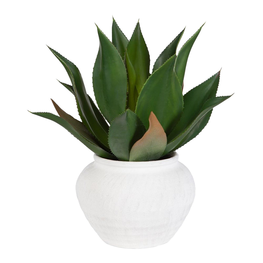 60235 Tierra Agave Centerpiece with Vase