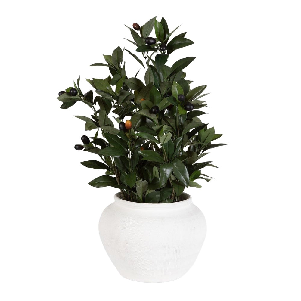 60236 Elena Olive Centerpiece