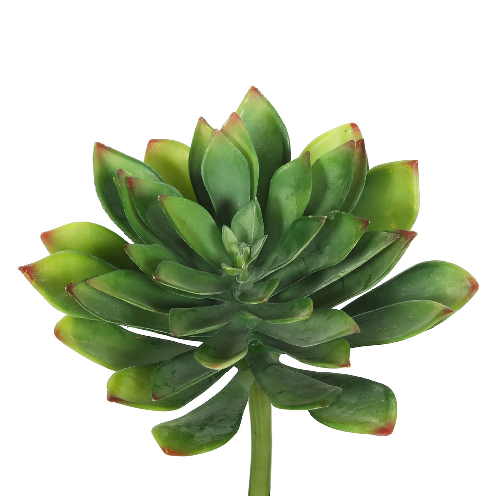 Picture of Vickerman FA171101 Green Cactus Succulent - 10 in. - 3 Per Bag