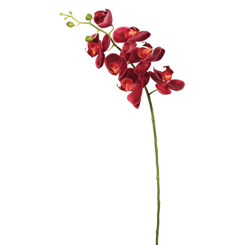 Picture of Vickerman FA172202 Real Touch Orchid-7 Heads Floral Stem&#44; Magenta