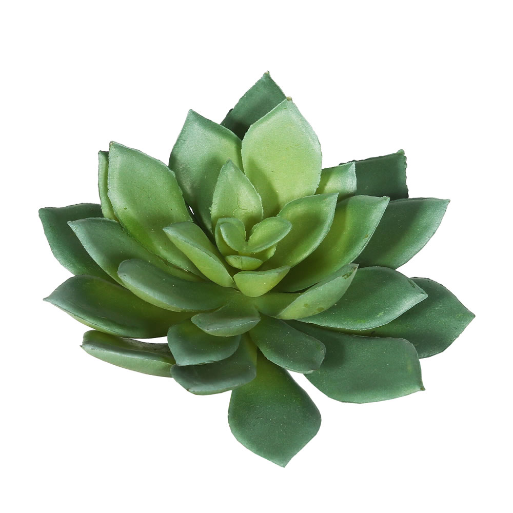 Picture of Vickerman FA170401 Green &amp; Grey Cactus Succulent 