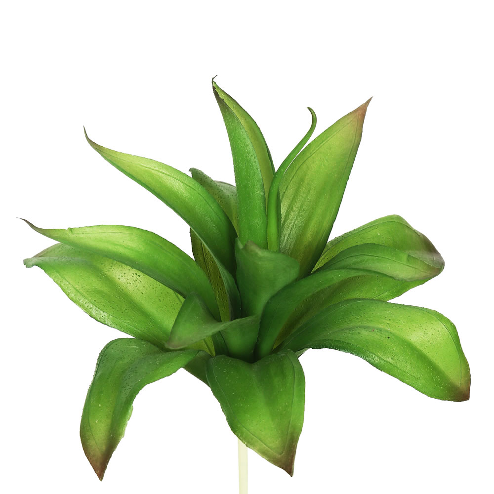 Picture of Vickerman FA170801 Green Agave Succulent 