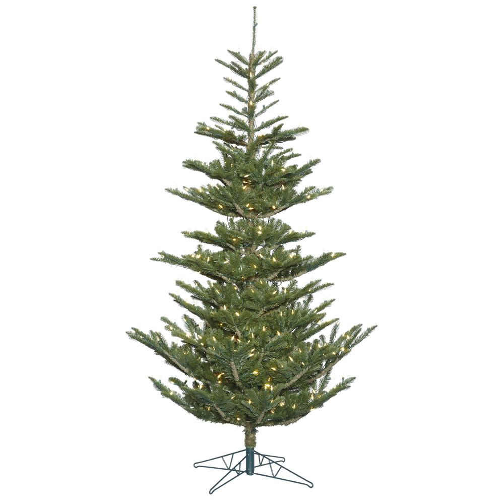 Alberta Spruce Christmas Tree with Warm White LED Lights, 12 ft. x 80 in.