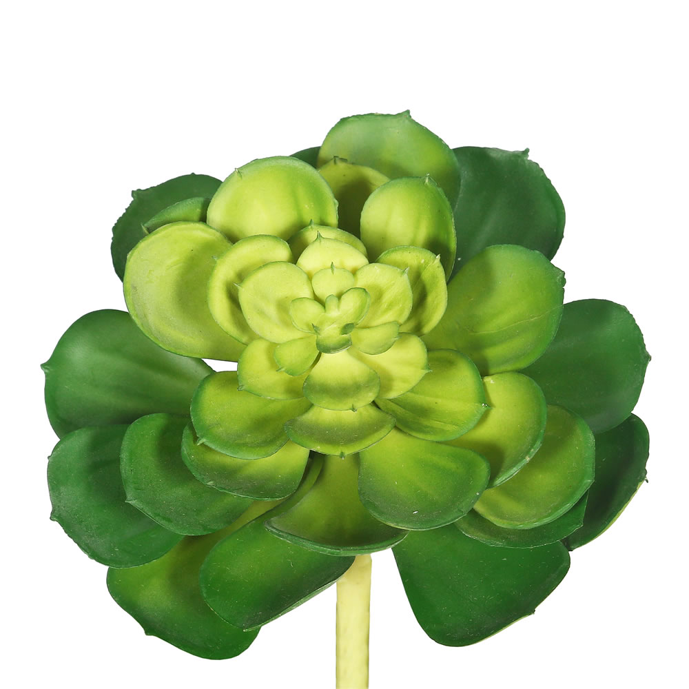 Picture of Vickerman FA170601 Green Plastic Plant Succulent 