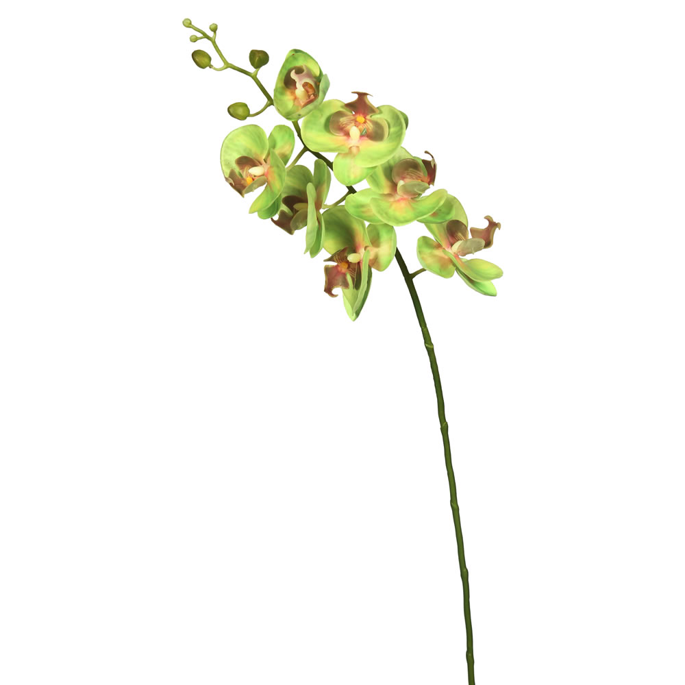 Picture of Vickerman FA172205 Real Touch Orchid-7 Heads Floral Stem, Green