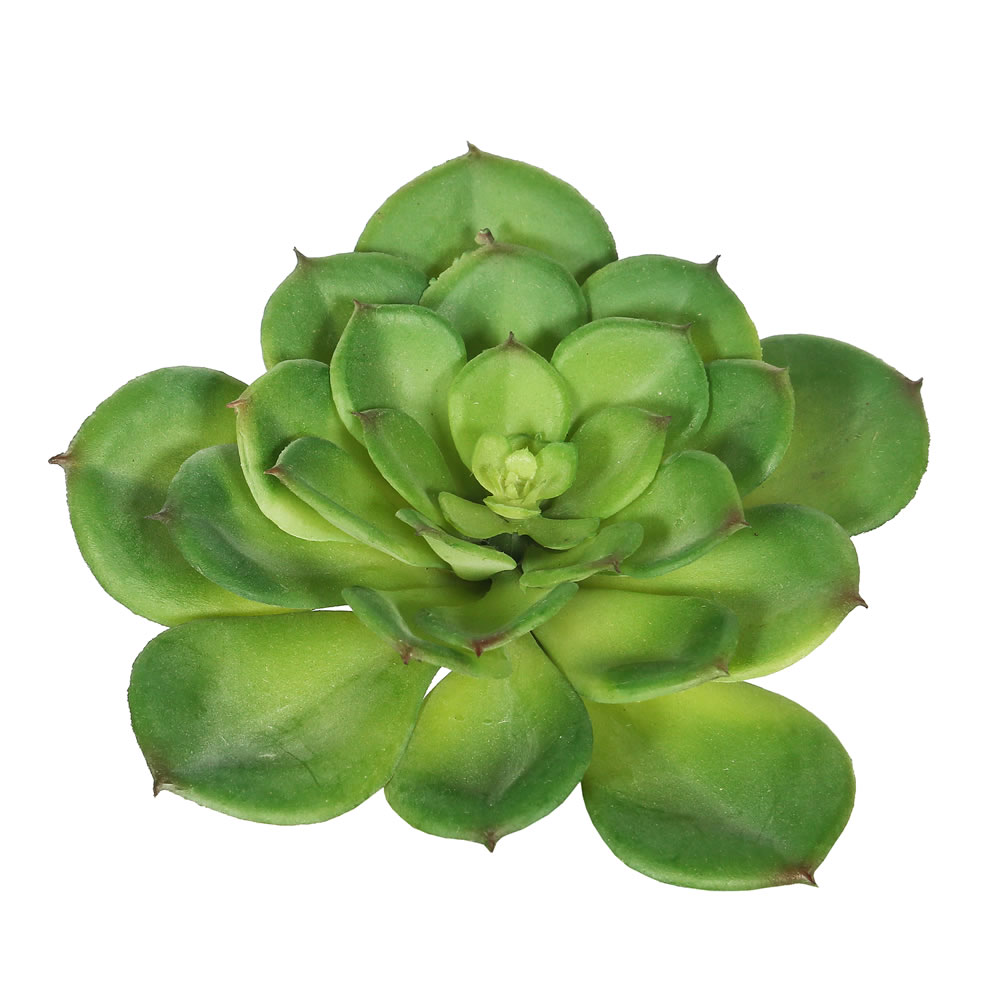 Picture of Vickerman FA170701 Green Single Cactus Succulent 