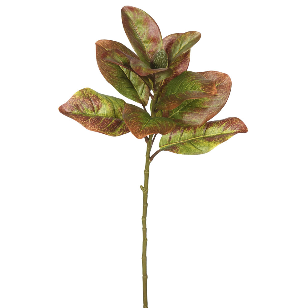 Picture of Vickerman FA172301 Single Magnolia Leaves-Autumn Greenery Stem 