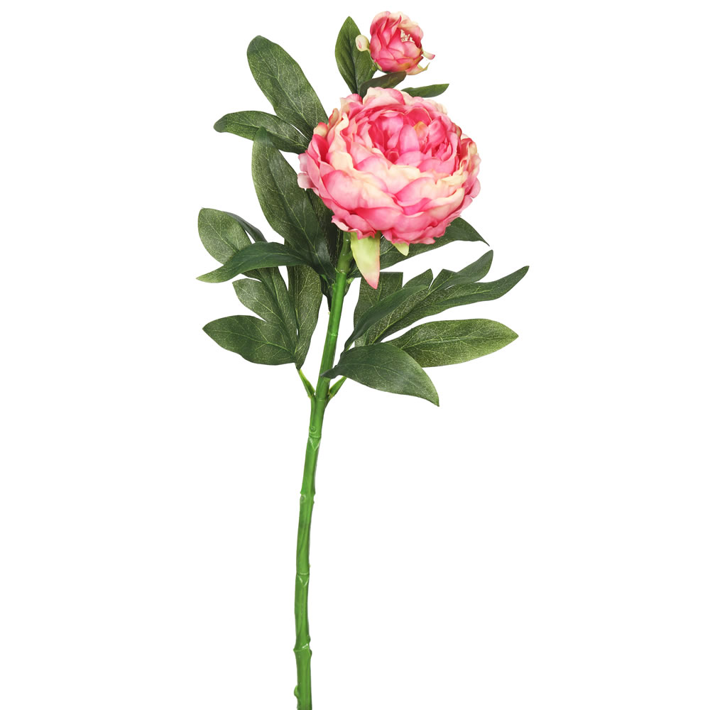 Picture of Vickerman FA174803 Peony X2 Floral Stem  Pink 