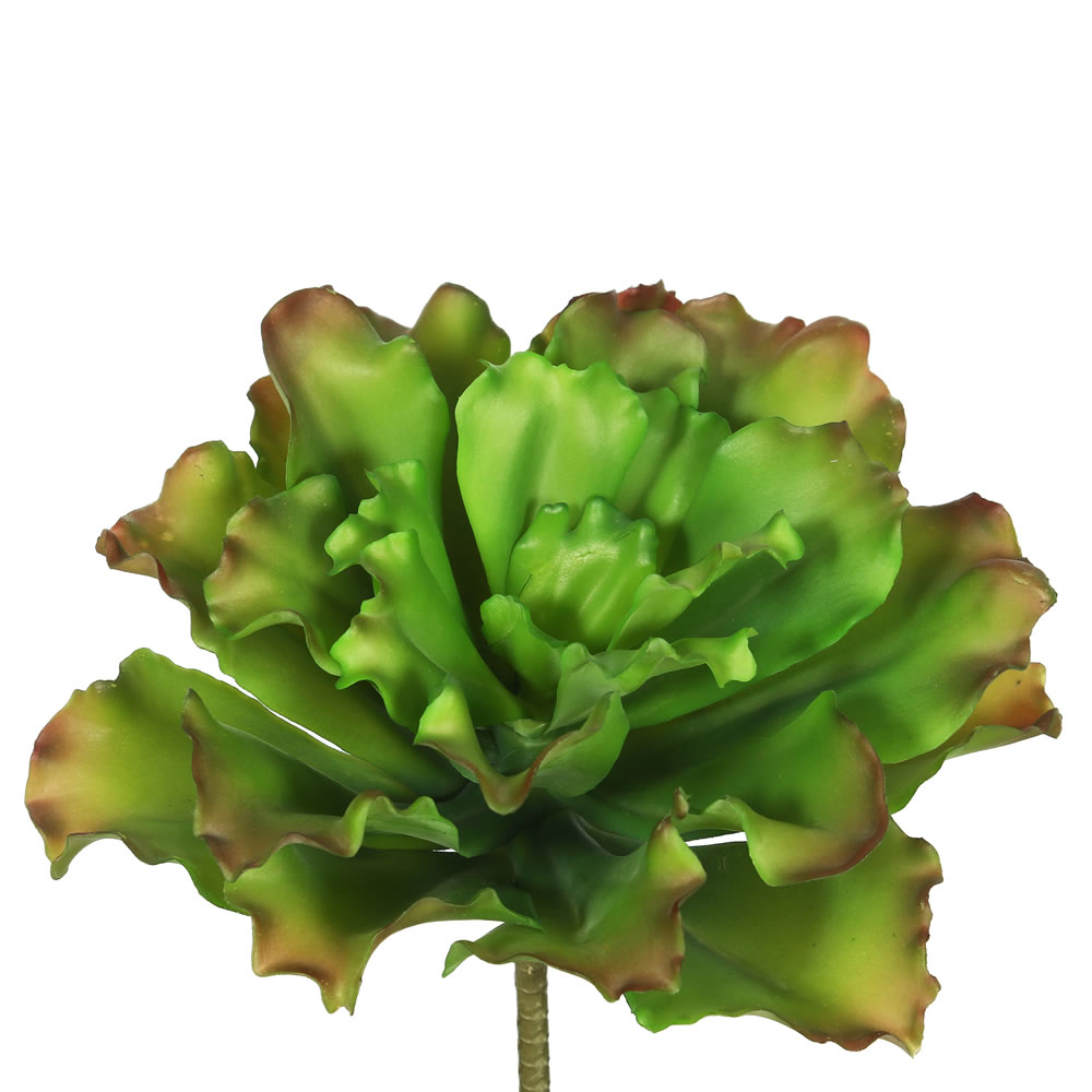 Picture of Vickerman FA170901 Green &amp; Brown Big Romaine Succulent 