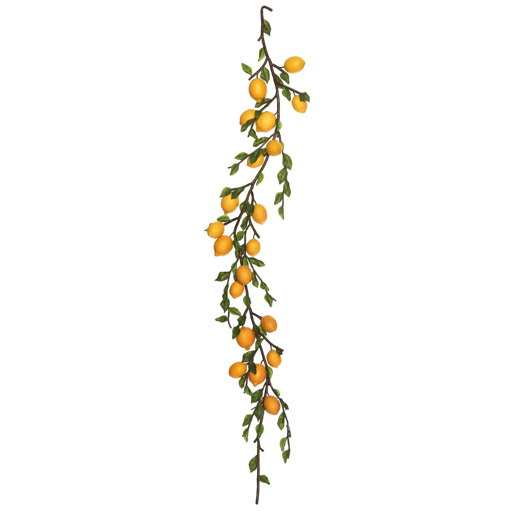 Lemon Garland X20 Fruit - 5 ft.