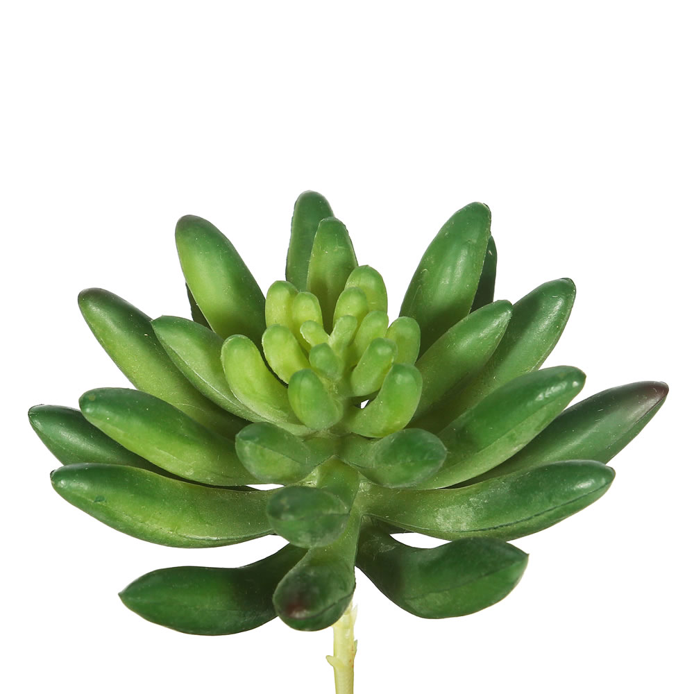 Picture of Vickerman FA170501 Green Cactus Succulent 